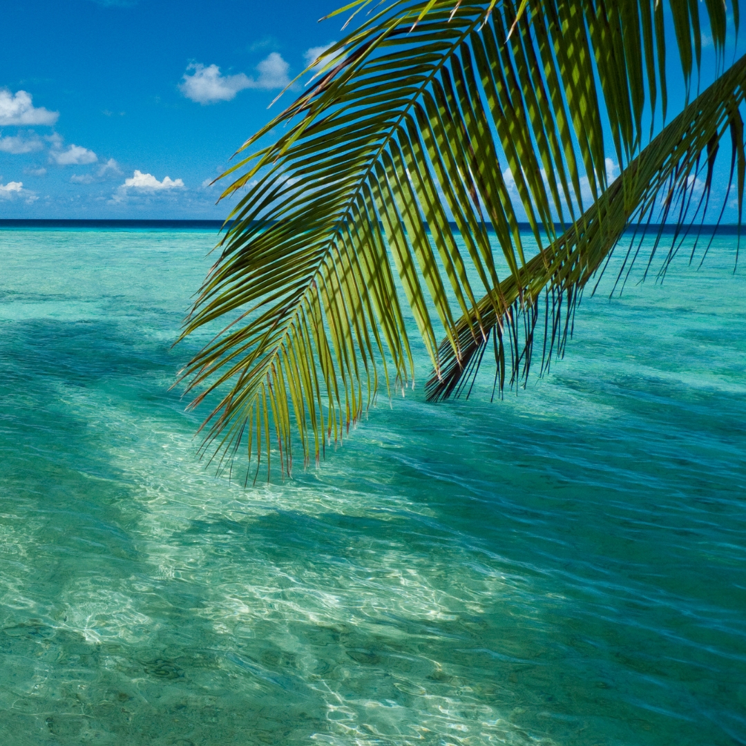 Clima cancun fefinanciera.com