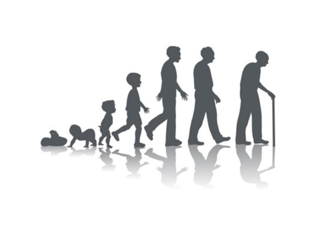 Seguro de vida Permanente fefinanciera.com